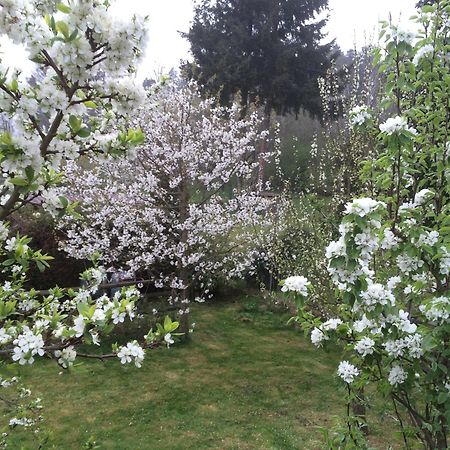 Ferienwohnung Kuckuck Auf Dem Sommerberg Incl Schwarzwaldcard Plus - 2 Zimmer 50Qm バート・ヴィルトバート エクステリア 写真