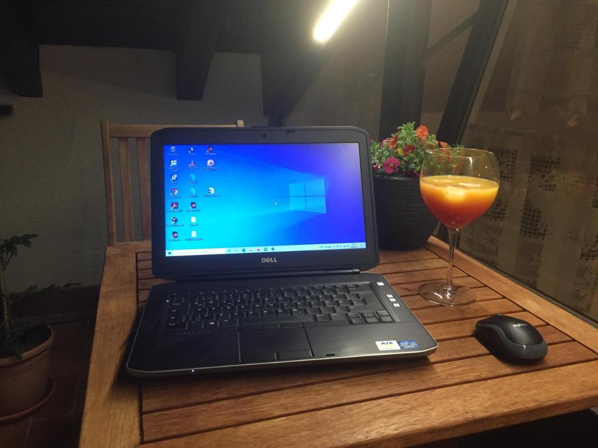 Ferienwohnung Kuckuck Auf Dem Sommerberg Incl Schwarzwaldcard Plus - 2 Zimmer 50Qm バート・ヴィルトバート エクステリア 写真