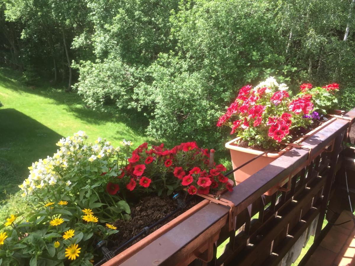 Ferienwohnung Kuckuck Auf Dem Sommerberg Incl Schwarzwaldcard Plus - 2 Zimmer 50Qm バート・ヴィルトバート エクステリア 写真
