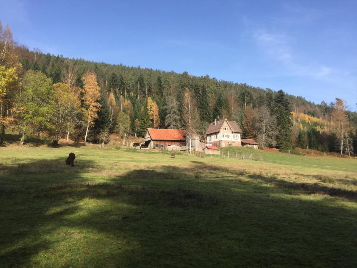 Ferienwohnung Kuckuck Auf Dem Sommerberg Incl Schwarzwaldcard Plus - 2 Zimmer 50Qm バート・ヴィルトバート エクステリア 写真
