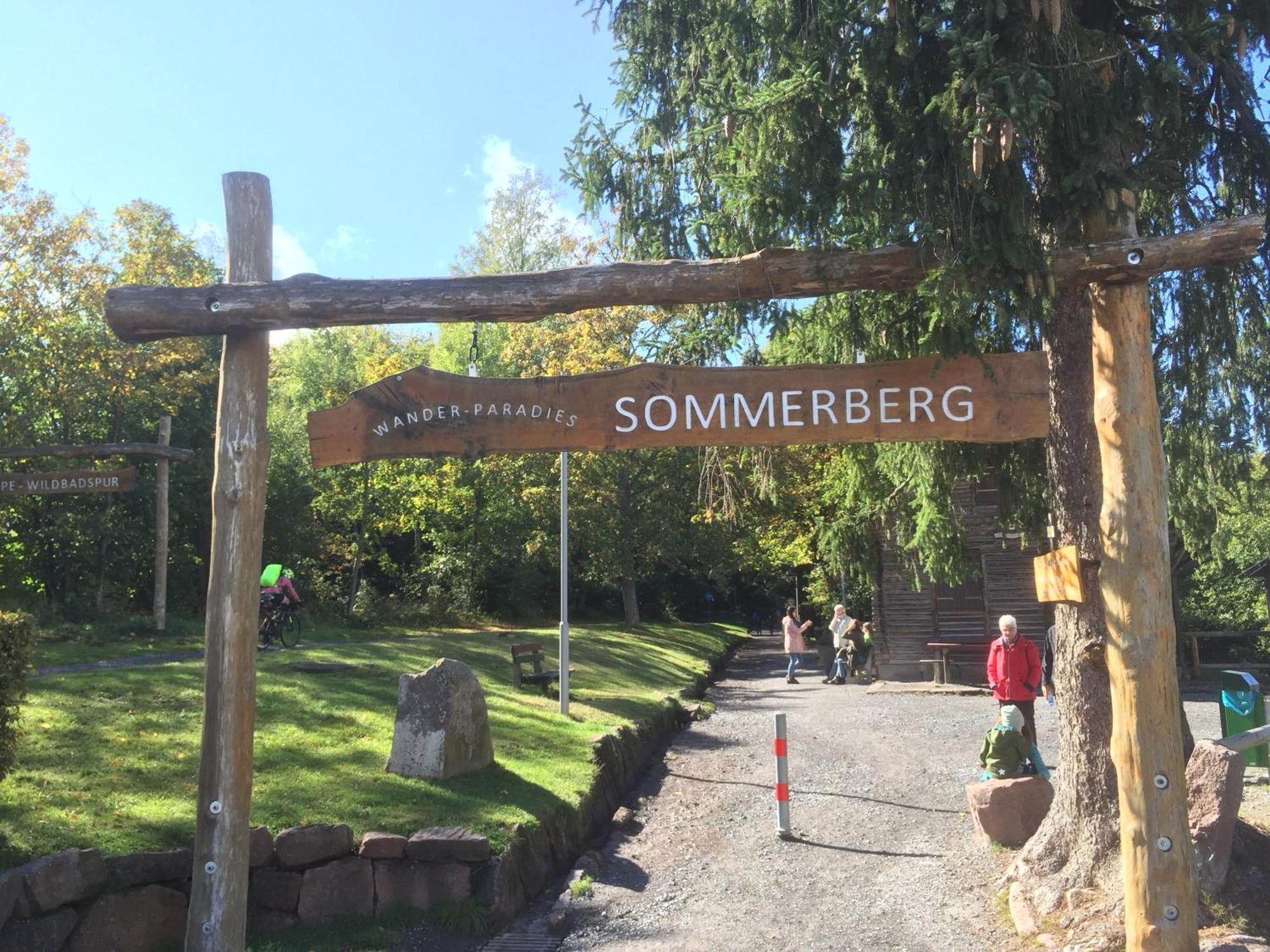 Ferienwohnung Kuckuck Auf Dem Sommerberg Incl Schwarzwaldcard Plus - 2 Zimmer 50Qm バート・ヴィルトバート エクステリア 写真